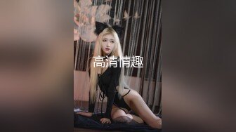 麻豆傳媒 MCY-0039水電工強上性感女白領-淩薇