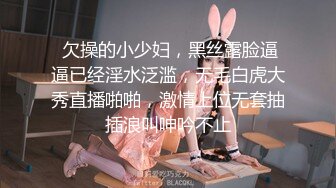 偷吃的好色女仆