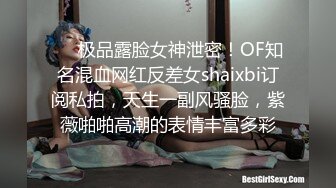 主题酒店摄像头偷拍纹身胖哥和少妇一边看投影一边做爱