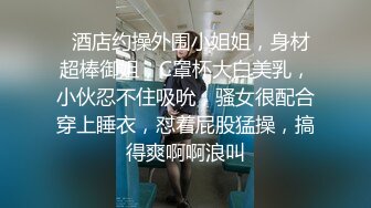 【用利抽插】极品反差婊，温婉女神，相拥转圈圈，椅子上抠穴玩出新花样，爆菊，精彩佳作