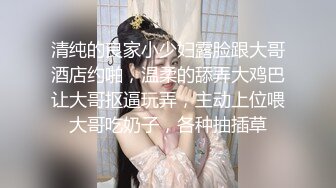 【超推荐会尊享】麻豆传媒全新电影AV系列新作-请做我的奴隶 性爱魔鬼の美乳女神夏晴子篇