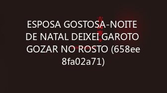 ESPOSA GOSTOSA-NOITE DE NATAL DEIXEI GAROTO GOZAR NO ROSTO (658ee8fa02a71)