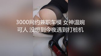 3000网约兼职车模 女神温婉可人 没想到今夜遇到打桩机