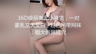  36D极品美乳小骚货，一对豪乳又大又白，粉色吊带网袜，粗大假屌插穴