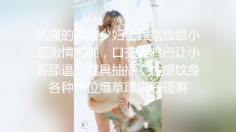 小蜜密儿-视频 2