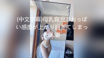 保持站立HD720P中英双字