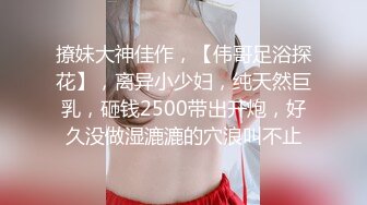 后入双马尾女友