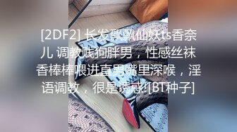 美丽的妇人变成性奴