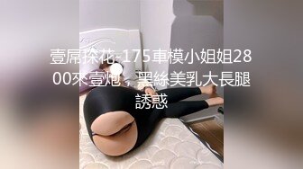 壹屌探花-175車模小姐姐2800來壹炮，黑絲美乳大長腿誘惑