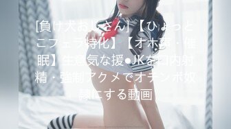 IDG5387 丹丹 上门女的职业精神 老子操完儿子约 爱豆传媒