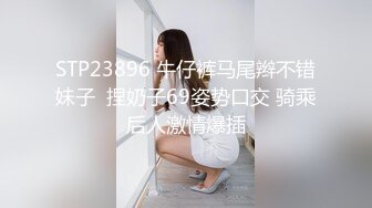 麻豆传媒&Pussy Hunter PS008 搭讪最美女神 绫波麗