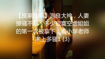 公交车站一路跟踪CD短裙美女竟然没有穿内内??两片有点发黑的大阴唇直接暴露出来了