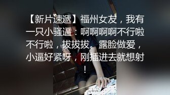 后入大奶骚妇，二哈观战