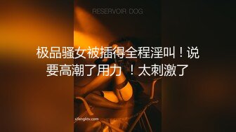 鸡排妹转行当性治疗师？(上)