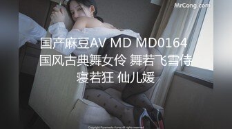 嫂子的职业MySisterinlawsJob2017HD1080P韩语中字