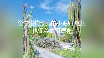 [推荐] 2022年赤兔最新作品《迷失北境》(上) 