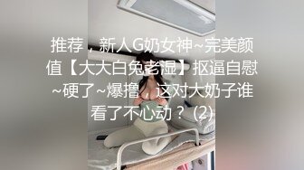 被包养的骚女人