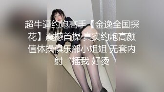 女友在家第二部