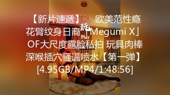 帝都少妇杀手~推特有钱UP主【北京Mr.性先生】花式调教各种少妇母狗窗前爆操腰窝臀浪反差婊征服感爆棚142P 68V