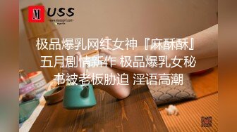 海南少妇最后一集设备没电没录完-技师-上位-孩子