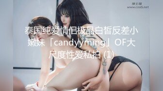 【自整理】足控必看精品，罕见的欧美玉足高跟少妇，高跟丝袜戳人性癖，性感十足的足底让你一次性看个够！【NV】 (105)