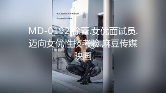 云上会所KTV之偷拍女厕所YSHS 94