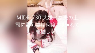 MIDE-730 大嫌いな夫の上司に巨乳妻は何度も犯●れて。 高橋しょう子