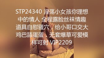 (中文字幕) [PRED-290] 張り込み7日目の汗だく捜査官 ～ダメよ、任務中なのにワタシったら…真夏編～ 川村晴