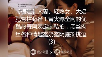 【梅姐】人妻、轻熟女、大奶肥臀控必备！曾火爆全网的优酷热舞阿姨定制私拍，黑丝肉丝各种情趣露奶露阴骚摇挑逗 (3)