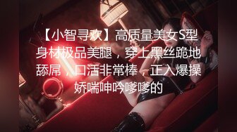 佟丽娅酒店私拍（高清无码）[2328]