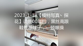 自慰的骚老婆2