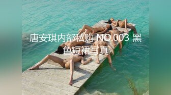 唐安琪内部私购 NO.003 黑色短裙写真