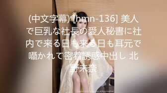 (中文字幕) [hmn-136] 美人で巨乳な社長の愛人秘書に社内で来る日も来る日も耳元で囁かれて密着誘惑中出し 北野未奈