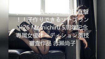 [217MIHA-054] 危険日直撃！！子作りできるソープランド26 Mr.michiru 5周年記念専属女優オーディション演技審査作品 赤瀬尚子