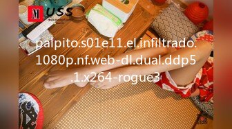 palpito.s01e11.el.infiltrado.1080p.nf.web-dl.dual.ddp5.1.x264-rogue3