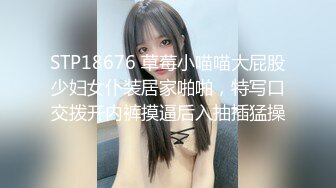 STP18676 草莓小喵喵大屁股少妇女仆装居家啪啪，特写口交拨开内裤摸逼后入抽插猛操